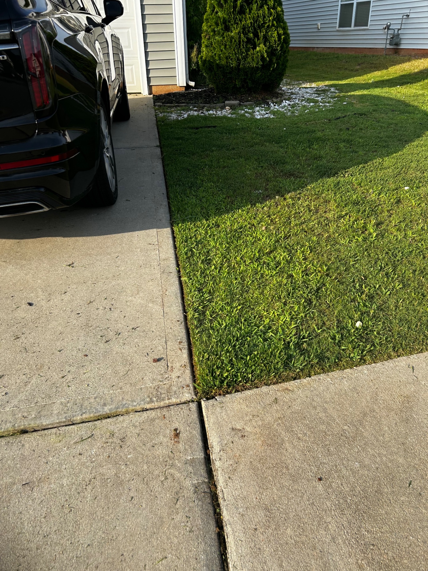 Razor-Sharp Driveway Edge