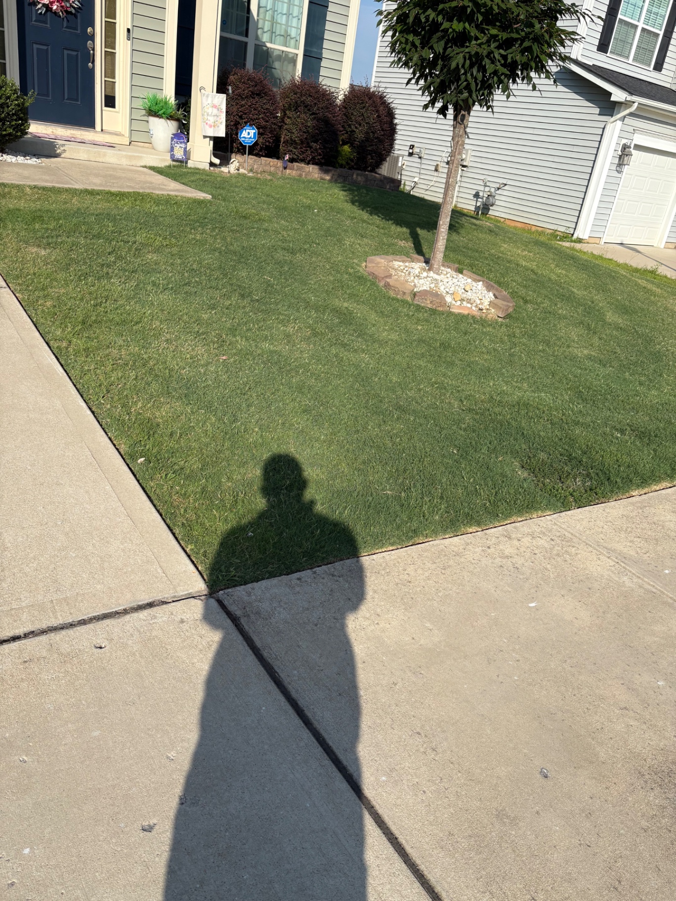 Fresh Cut Front Lawn